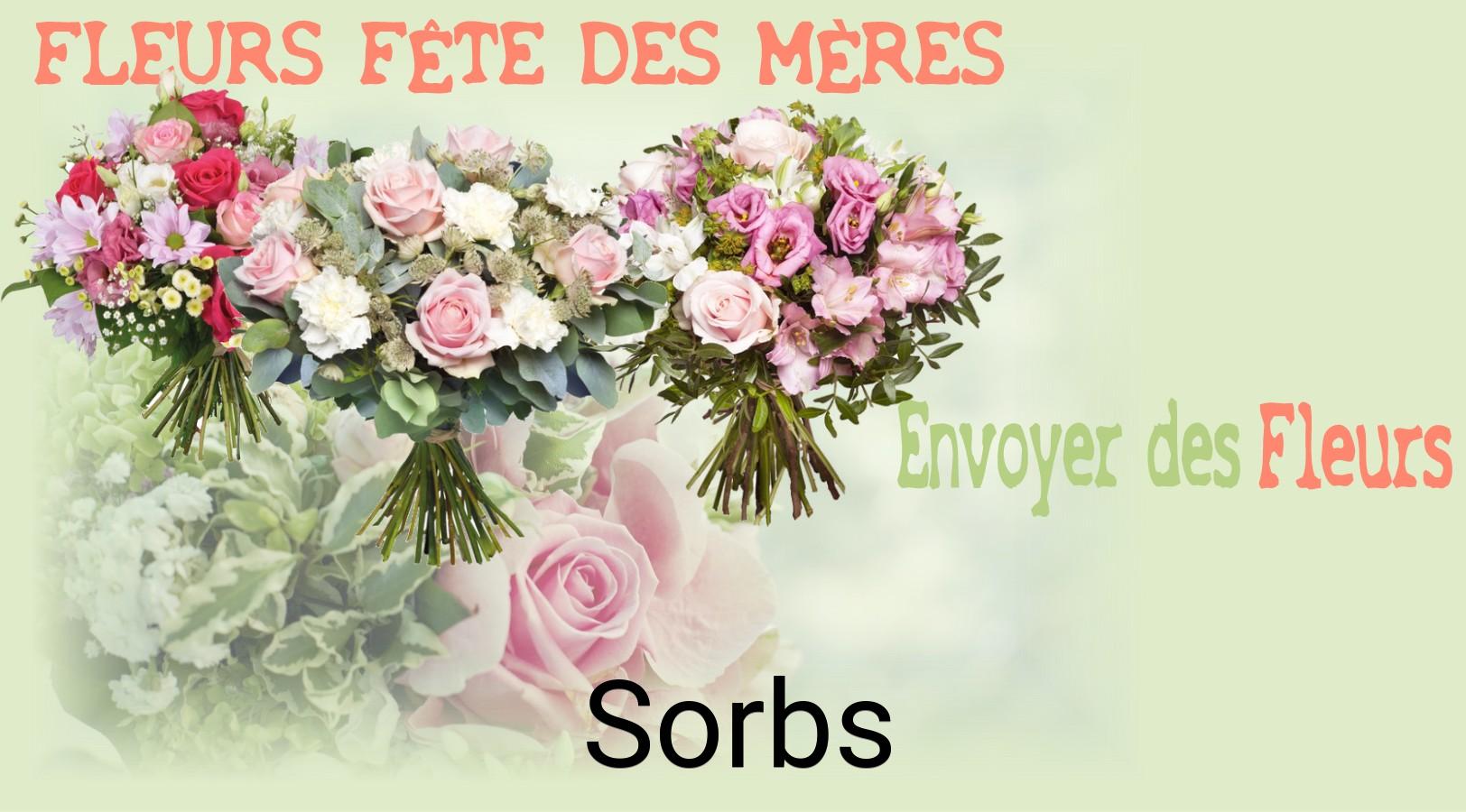 Bouquet de Fête des Mères livré à Sorbs
